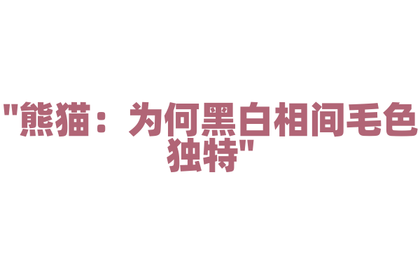 "熊猫：为何黑白相间毛色独特"